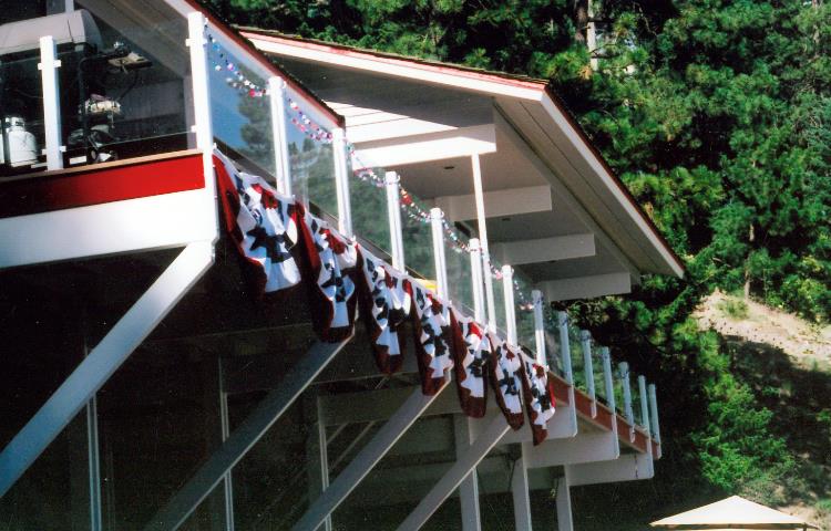 Secure Glass Rail